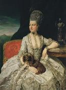Archduchess Maria Christina Johann Zoffany